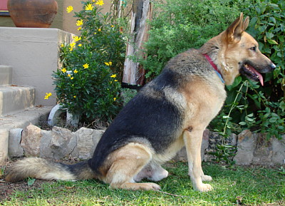 beau von barnes sitting